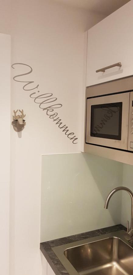 Alpina Inzell Wohnung 454 Экстерьер фото