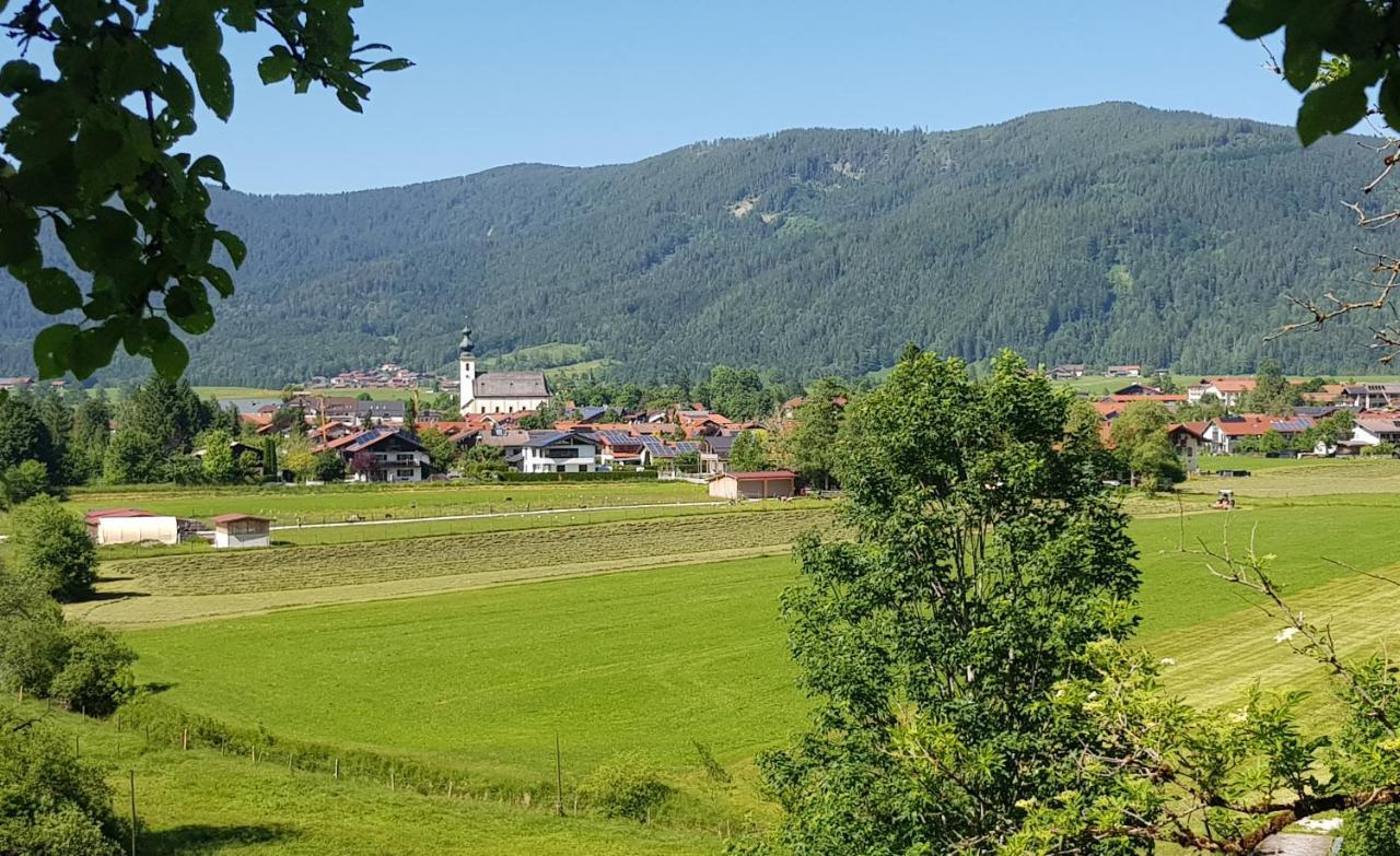 Alpina Inzell Wohnung 454 Экстерьер фото